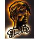 Tupac Shakur Thug Life Işıklı Tablo
